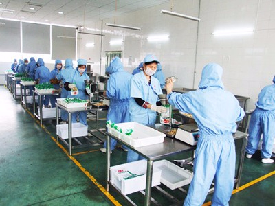 北京瑞豐祥食品加工廠-德遠塑業(yè)定制案例